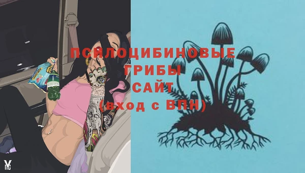 МДМА Арсеньев