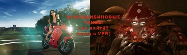 прущая мука Переславль-Залесский