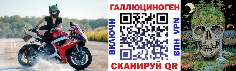 Галлюциногенные грибы Psilocybe Арсеньев